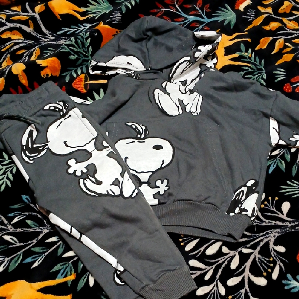 Gray Snoopy Hoodie and Pants Set
